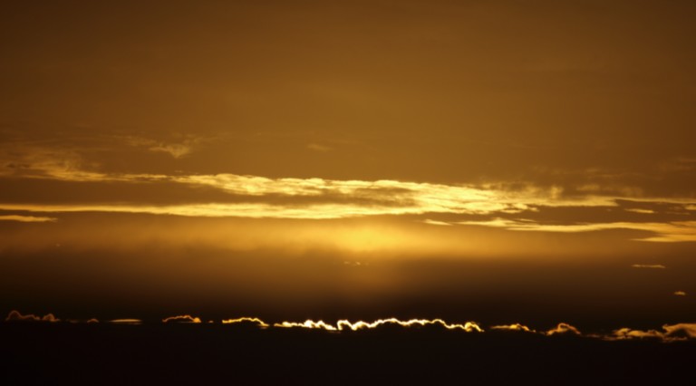 MORGENTAU